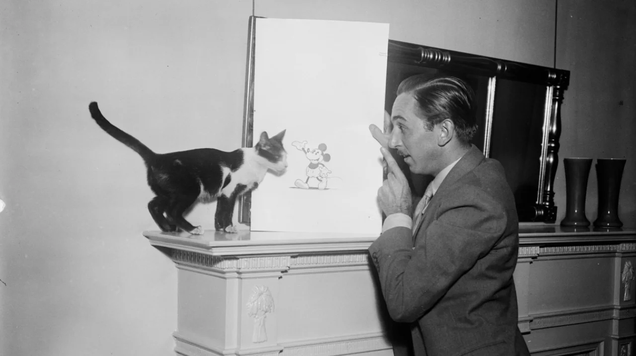 Bouncing Back Hero Img